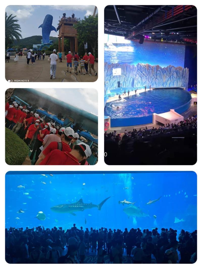 1631686683378519.jpg 派瑞林真空氣相鍍膜|低壓注塑|低壓注膠